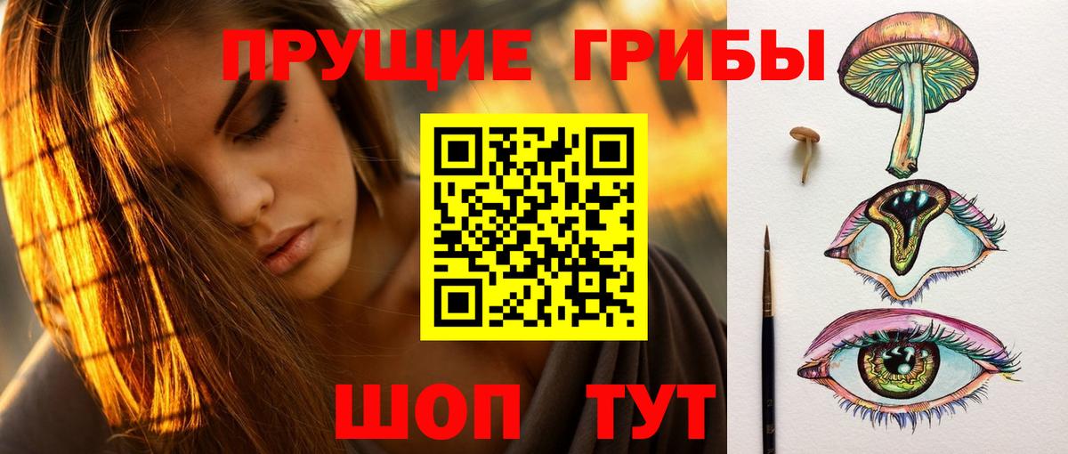 Волоколамск  Псилоцибиновые грибы Psilocybe  дарнет шоп  Вход с VPN 